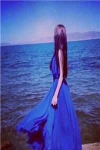 疏影归处是昭华爆款热文