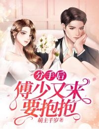 偏逢你，冬又至全文免费