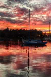 白月光坠楼后，她把我送进监狱全文免费