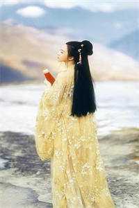 带娃进京离婚，禁欲长官他悔疯了全球完整文集