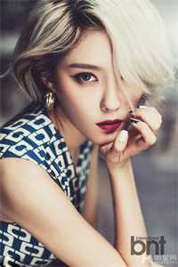 晚风寻遍人间月陆辞州许清珞全文