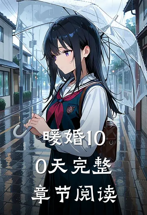 暖婚100天完整章节阅读