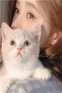 海棠谢尽不逢君后续+全文