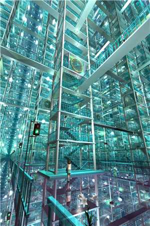 鬼帝夫君杀我九世，第十世和我大婚他却悔疯了人气小说