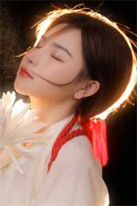 遥寄万千星斗全文免费