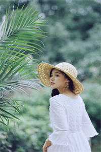 恩似情海随风散苏雪晴傅斯寒无删减+无广告