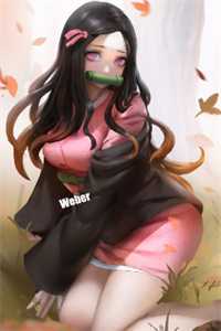 雁北回南爱未归大结局