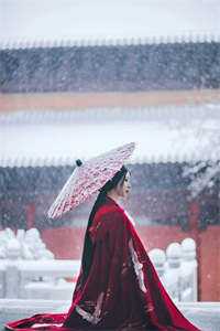 赌石无敌后，大佬排队找我无删减+无广告