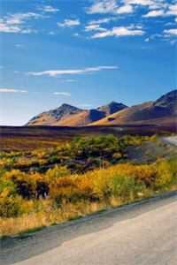 旧约难融双城雪在线阅读全本阅读