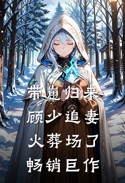 带崽归来，顾少追妻火葬场了畅销巨作