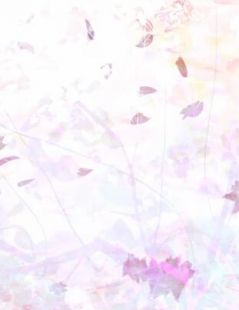 港岛流光相皎洁完整作品