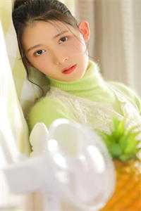 不见桐花万里路在线阅读全本阅读