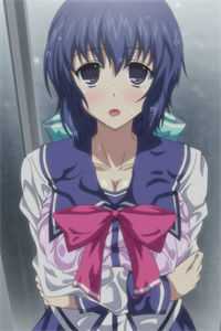 落花时节终不见爆火全网