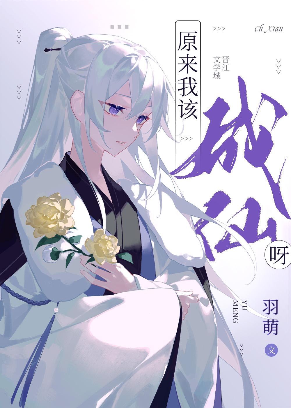 绝不回头全集小说阅读