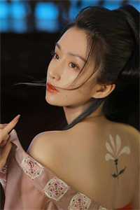 高攀侯门婢，宠成诰命妻已完结