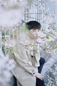 宫女绑生子系统？绝嗣皇帝跪着宠新上热文