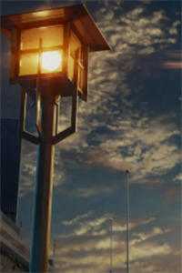 欺负贫苦小可怜？他是未来真大佬全球完整文集