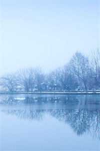 烬里拾花赠别离小说畅读