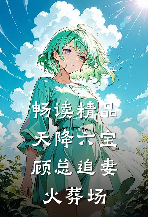 畅读精品天降六宝：顾总追妻火葬场