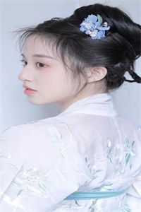 沧江一梦镜花影高口碑