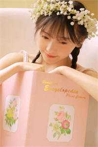 皇上灭我满门，我掀翻了整个皇宫后续+完结