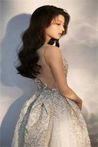 落日不曾回望我篇章