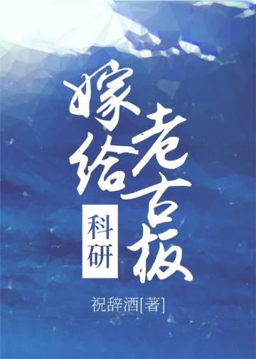 她不值得我爱过小说免费