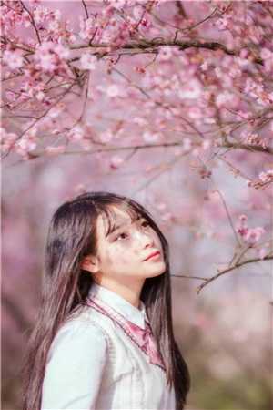 高攀侯门婢，宠成诰命妻热门小说