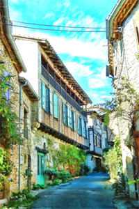 我决定不再爱他后，他后悔了精品篇