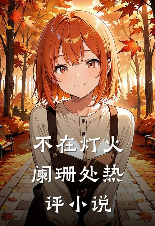 不在灯火阑珊处热评小说