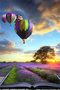 南风解谁意免费阅读