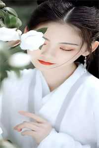 山河已无恙，君心不思归小说