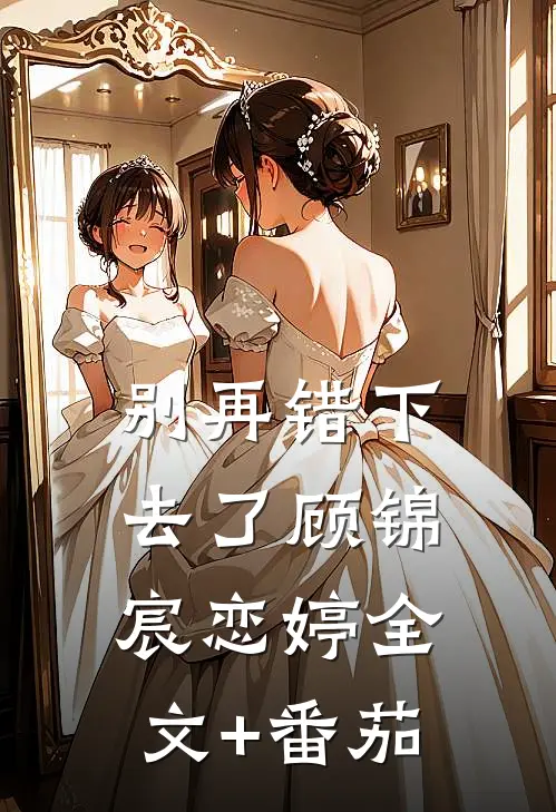 别再错下去了顾锦宸恋婷全文+番茄