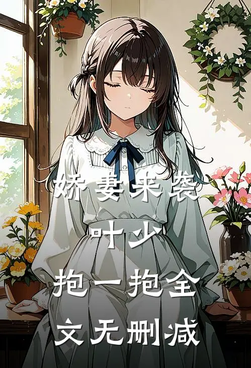 娇妻来袭叶少,抱一抱全文无删减免费阅读