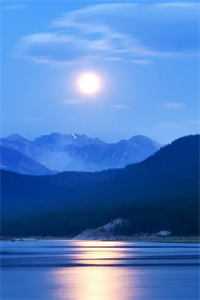 南城北巷，不见你我小说全文免费