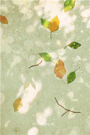 爱如长风，再无归期全文无删减