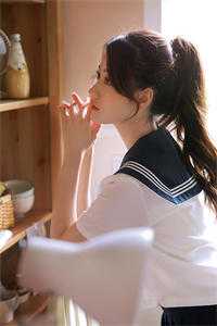 山河已无恙，君心不思归全集