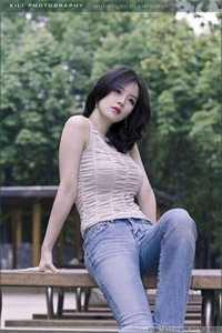 雁北回南爱未归火爆小说