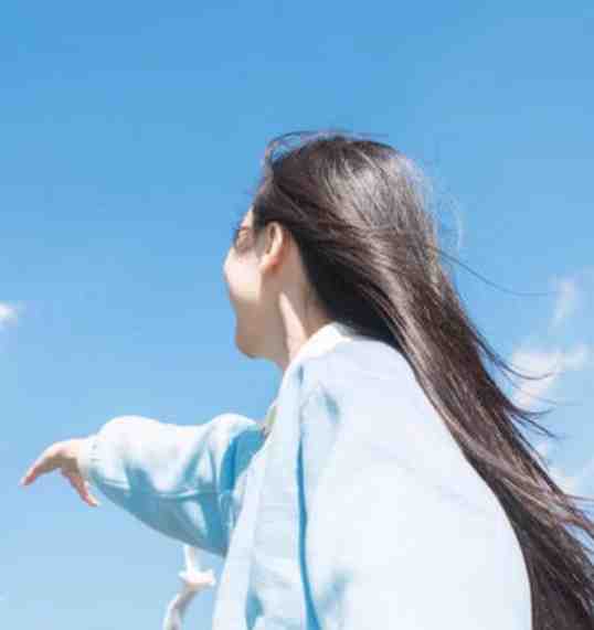 等不到的向日葵全章节