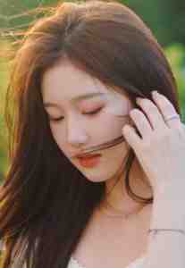 寄往深蓝的信无广告