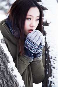 向阳小说在线阅读免费