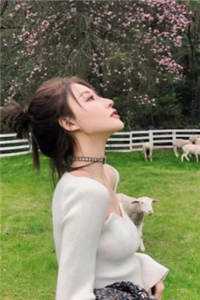 完成任务加寿命？假太监他杀疯了！最新热门小说