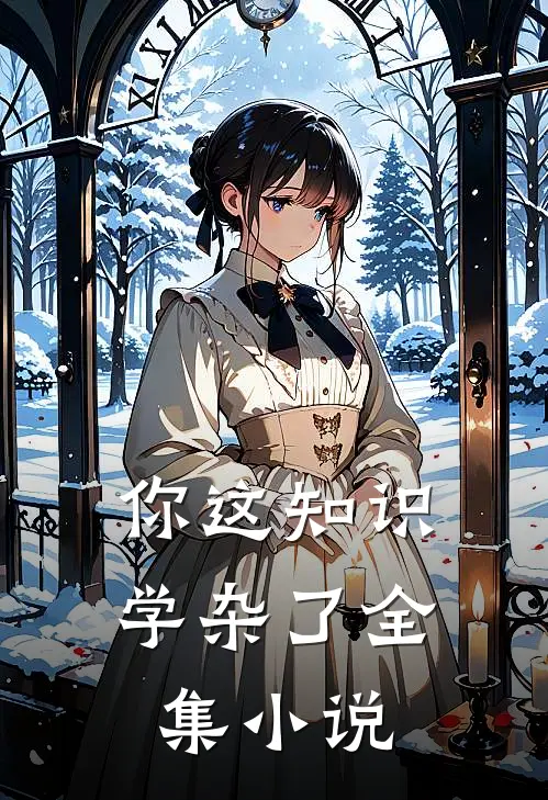 你这知识学杂了全集小说