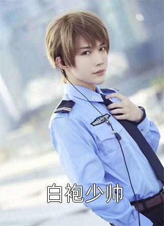 晚风辞朝露的小说