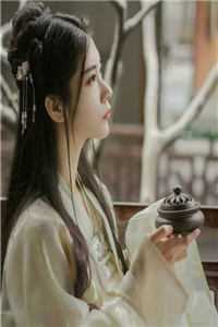 曾许我一川烟雨后续+番外