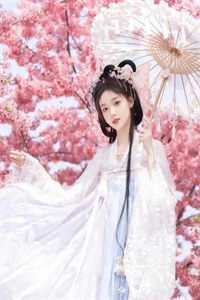 异世争霸：这个恋爱必须谈！小说免费阅读全文