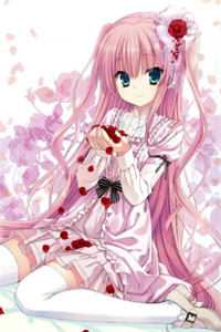 沸雪灼心顿白首小说免费