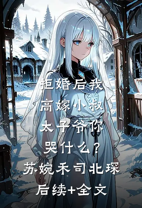 拒婚后我高嫁小叔，太子爷你哭什么？苏婉禾司北琛后续+全文