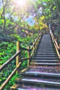 晚风辞朝露后续