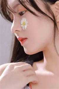 繁盛春日消失于昨天质量好文